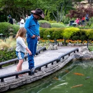 Japanese Tea Garden 1